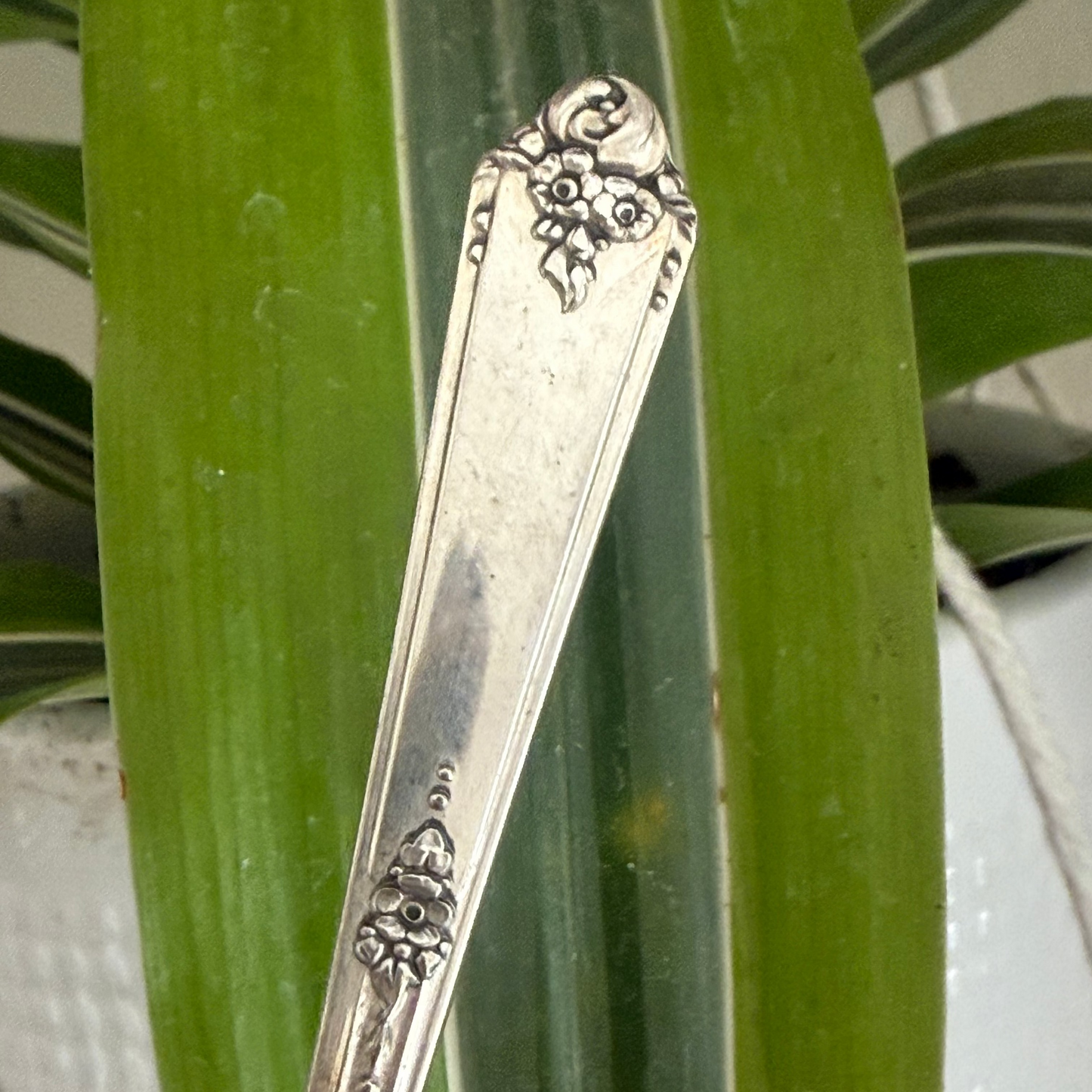 Decorative silver spoon against a green leafy background