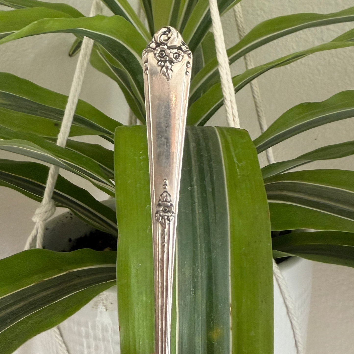 Sweet Briar Spoon Ring